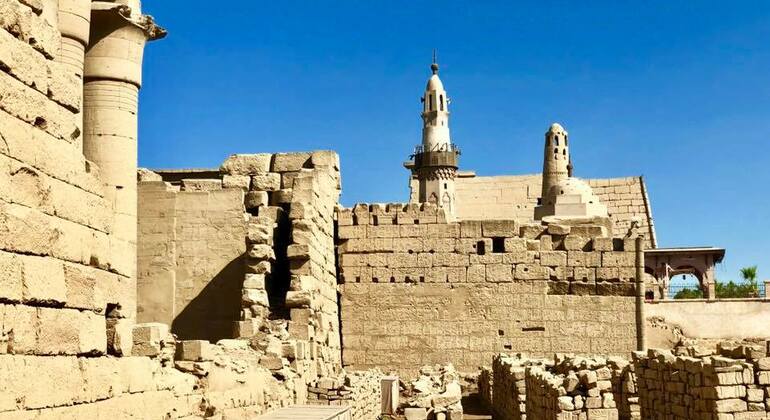 East Day Tour to Luxor Karnak and Luxor Temple Egypt — #4