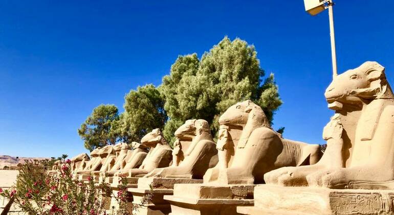 East Day Tour to Luxor Karnak and Luxor Temple Egypt — #6