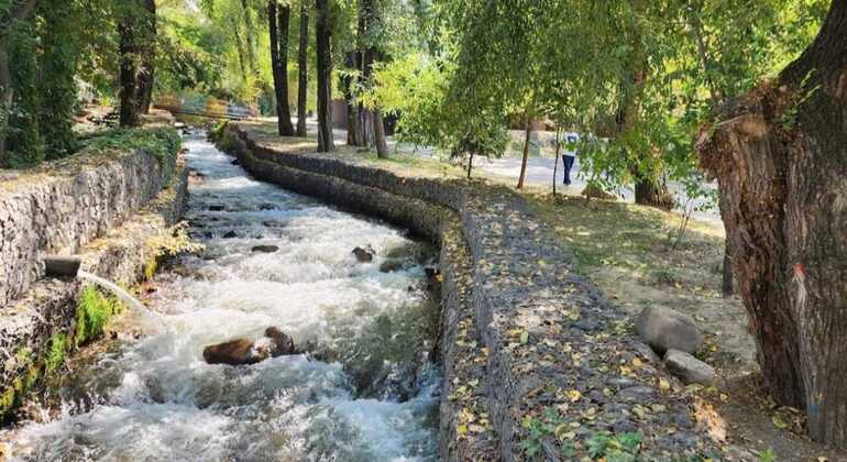 Visita guiada gratuita «Almaty Origins»: la Plaza Dorada y las calles históricas