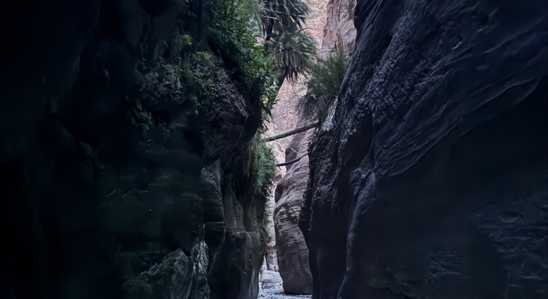 Dreistündige kostenlose Führung durch Petra Jordanien &mdash; #4