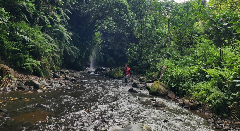 Napuru Waterfalls Day Trip with Hotel Pickup Tanzania &mdash; #4