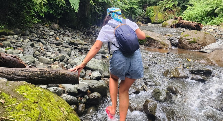Napuru Waterfalls Day Trip with Hotel Pickup Tanzania &mdash; #7