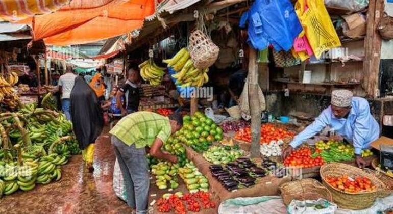 Visite guidée à pied de Stone Town Fournie par Hussein