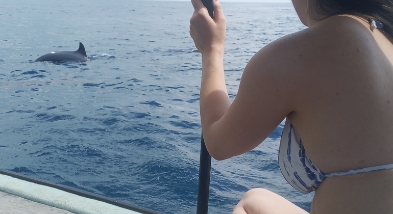 Mnemba Dolphin Tour & Snorkeling Tanzania &mdash; #3
