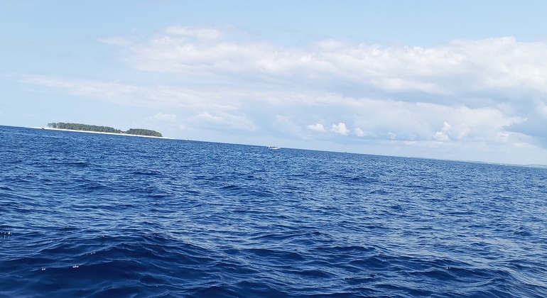 Mnemba Dolphin Tour & Snorkeling Tanzania &mdash; #4