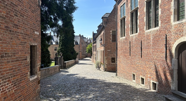 the-real-leuven-free-tour-en-1
