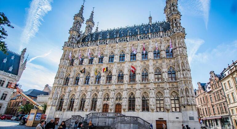 the-real-leuven-free-tour-en-7