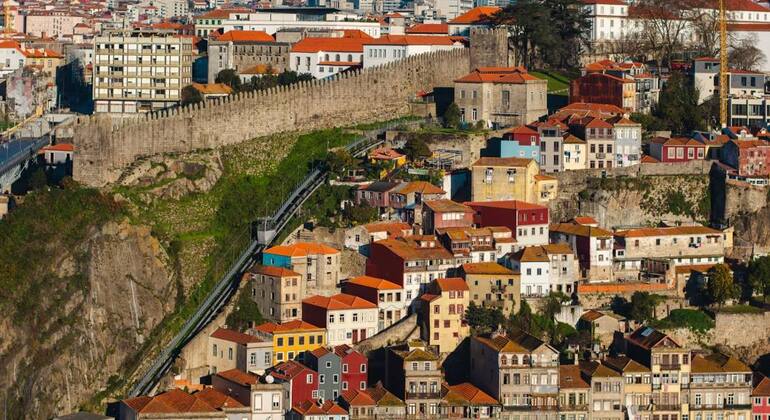 Gaia Porto Wine Hidden Stories Free Tour Provided by David