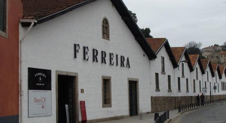 Gaia Porto Wine Hidden Stories Free Tour Portugal &mdash; #6