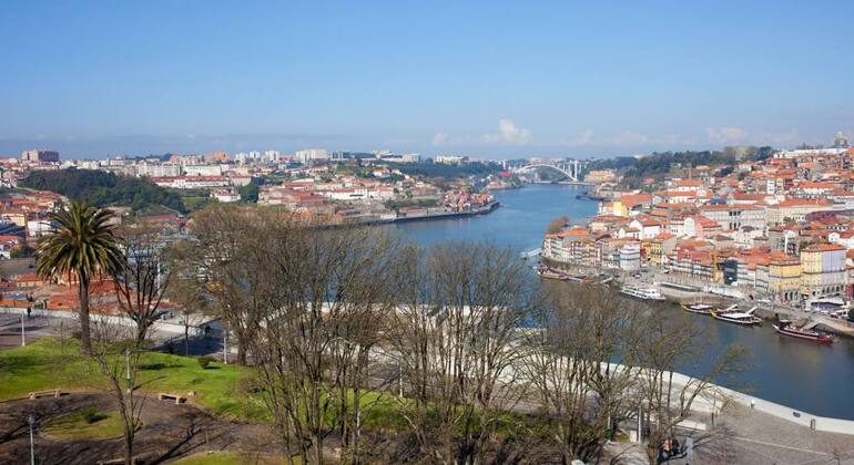 Gaia Porto Wine Hidden Stories Free Tour Portugal &mdash; #11