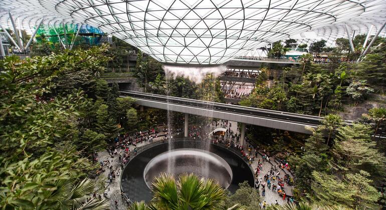 Bienvenida a Singapur: Visita guiada gratuita al bosque interior de Jewel Changi Operado por VibTour Singapore