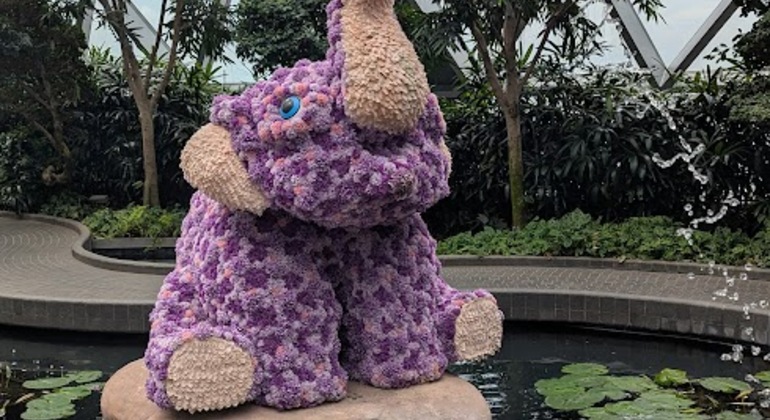 Bienvenida a Singapur: Visita guiada gratuita al bosque interior de Jewel Changi Singapur &mdash; #2