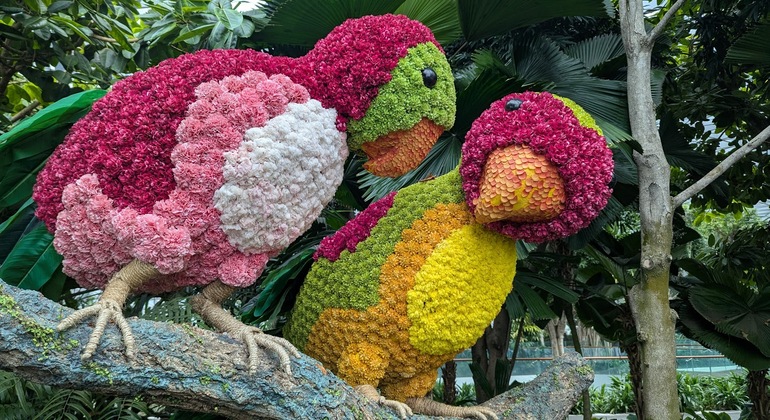 Bienvenida a Singapur: Visita guiada gratuita al bosque interior de Jewel Changi Singapur &mdash; #4