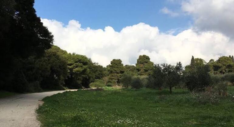 Tour gratuito di trail running ad Atene Grecia &mdash; #2