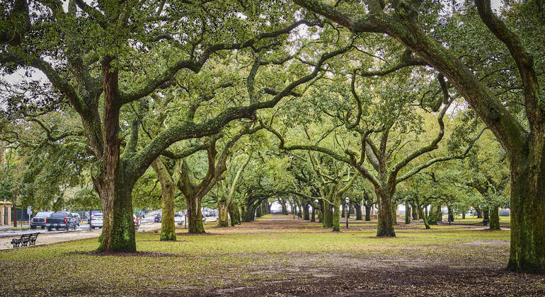 audio-self-guided-app-charleston-city-tour-en-4