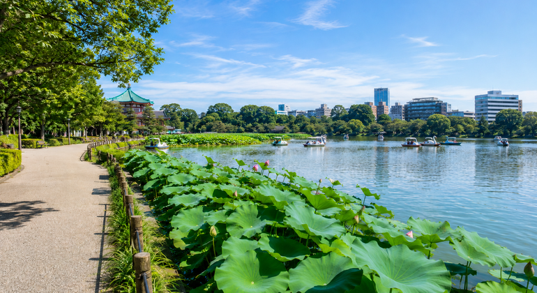 Parque de Ueno: samuráis, templos y el origen del Tokio moderno Japón &mdash; #2