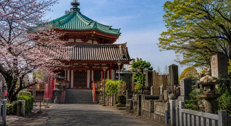 Parque de Ueno: samuráis, templos y el origen del Tokio moderno Japón &mdash; #6
