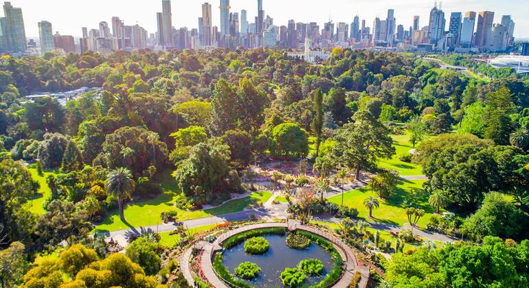 Visite guidée gratuite des incontournables de Melbourne – Deuxième partie Fournie par Scandic Tours