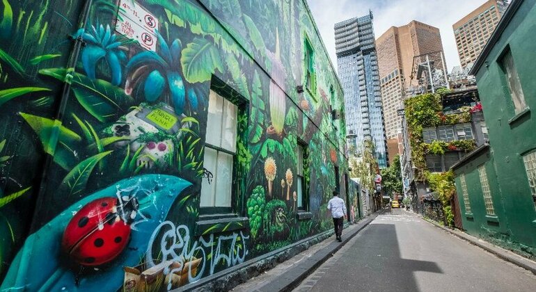 Visite guidée gratuite des célèbres œuvres d'art urbain et ruelles de Melbourne Australie &mdash; #2