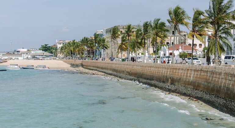 Visite guidée à pied de Stone Town : culture et histoire Fournie par Rashid