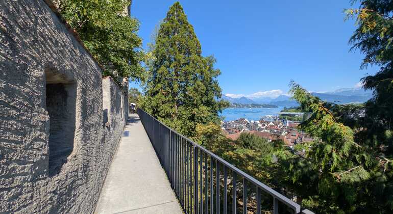 Lucerne Must-Sees Express Tour with a Local Switzerland &mdash; #7