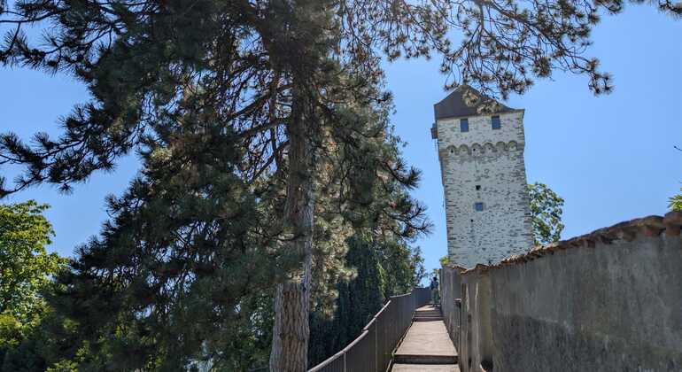 Lucerne Must-Sees Express Tour with a Local Switzerland &mdash; #8