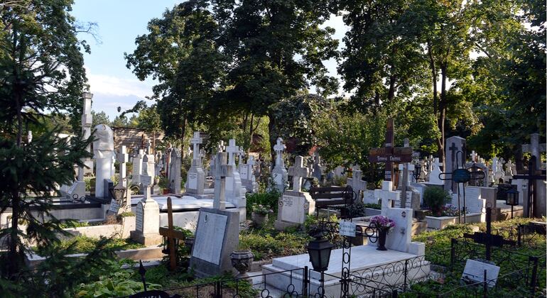 Der Bellu-Friedhof in Bukarest lacht: Ein Spiel zur Erkundung auf eigene Faust Rumänien &mdash; #3