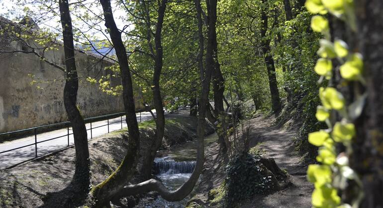 Brasov romántico: juego de exploración autoguiado y recorrido a pie Rumania &mdash; #7