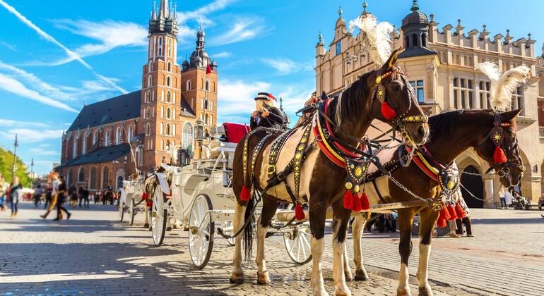 Kraków Old Town & Wawel Castle Walking Tour Poland &mdash; #5