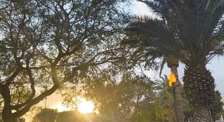 Visite guidée gratuite à pied au coucher du soleil à Funchal Portugal &mdash; #2