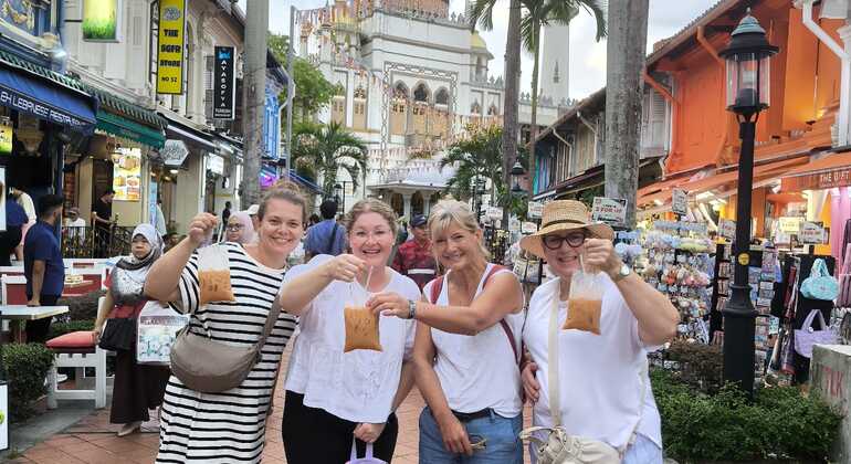 Visita guiada gratuita a pie por Kampong Gelam: de la realeza a lo más de moda Singapur &mdash; #14