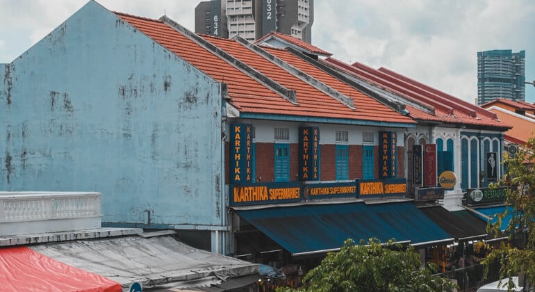 Little India Free Walking Tour: Journey of the Senses Provided by Monster Day Tours