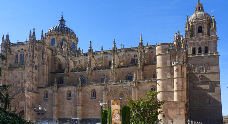 Visite gratuite de la ville monumentale de Salamanque : la visite à ne pas manquer Espagne &mdash; #6
