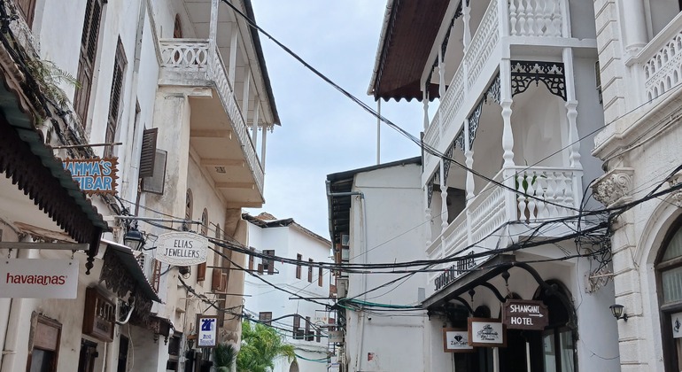 Stone Town Walking Tour with Local Markets Tanzania &mdash; #9