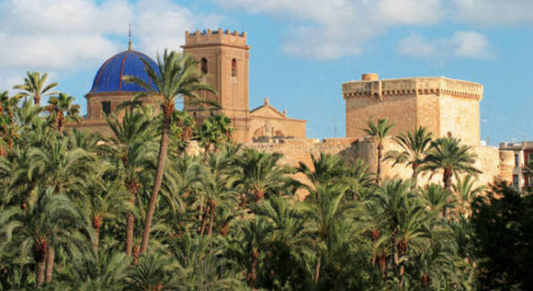 elx-in-festes-a-tour-of-elche-focused-on-the-festivals-en-3