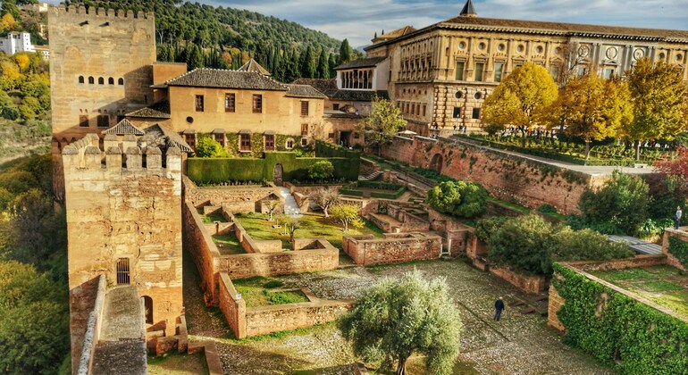 Alhambra : visite complète des palais nasrides, billets d'entrée compris Espagne &mdash; #2