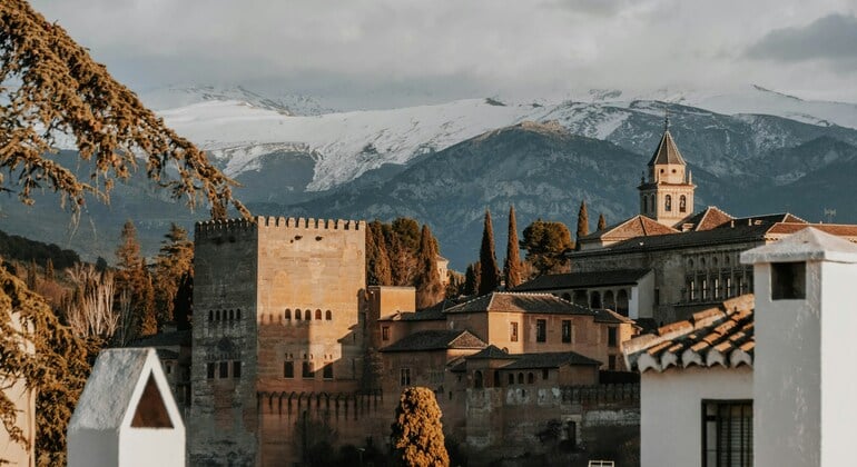 Alhambra : visite complète des palais nasrides, billets d'entrée compris Fournie par Granada Turismo y Ocio
