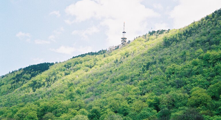 the-old-town-brasov-free-tour-en-9
