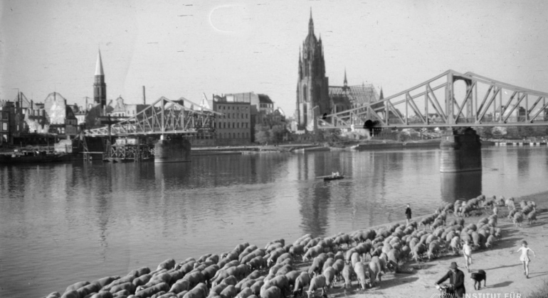 Visita guiada gratuita sobre el nazismo y la Segunda Guerra Mundial (borrador) Alemania &mdash; #14