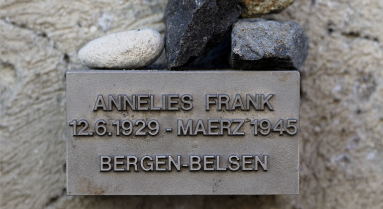 Visita guiada gratuita sobre el nazismo y la Segunda Guerra Mundial (borrador) Alemania &mdash; #5