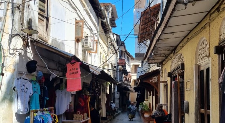 Tour guidato privato a piedi alla scoperta della storia nascosta di Stone Town Tanzania &mdash; #3