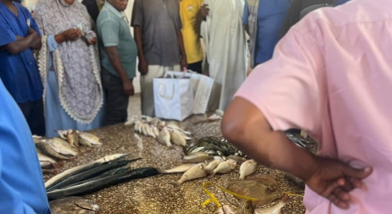 Tour guidato privato a piedi alla scoperta della storia nascosta di Stone Town Tanzania &mdash; #10