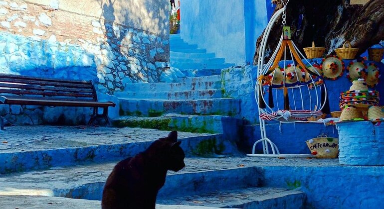Découvrez Chefchaouen : excursion d'une journée à prix abordable au départ de Fès Maroc &mdash; #7