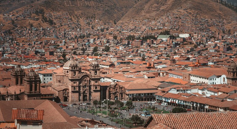 Stray Llama Cusco Walking Tour Peru &mdash; #2