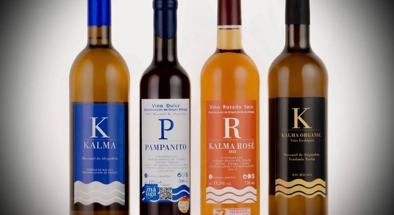 Visita a uma vinha e degustação de vinhos – Excursão Organizado por Bodegas Manilva