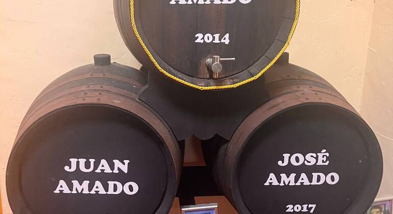Visita a uma vinha e degustação de vinhos – Excursão Espanha &mdash; #6