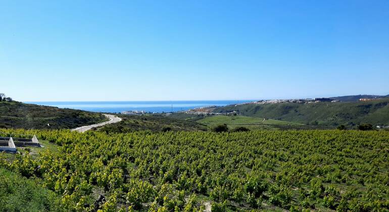 Visita a uma vinha e degustação de vinhos – Excursão Espanha &mdash; #8