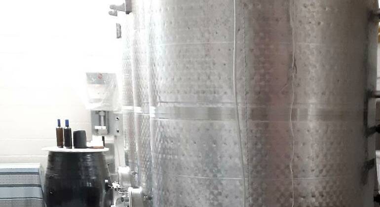 Visita a uma vinha e degustação de vinhos – Excursão Espanha &mdash; #10