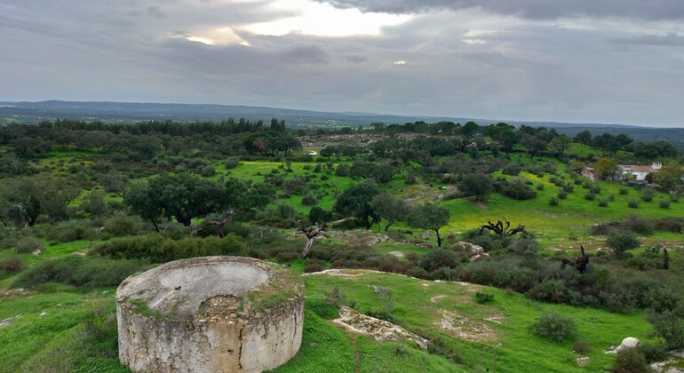 Évora  Free Tour: Jornadas Místicas  Portugal &mdash; #7