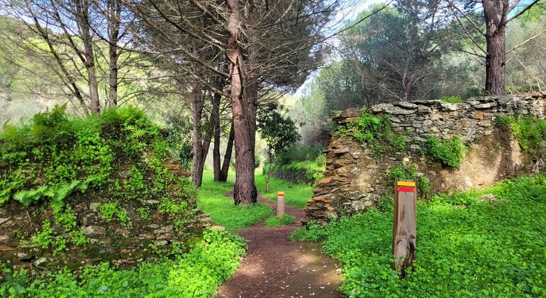 Évora  Free Tour: Jornadas Místicas  Portugal &mdash; #18
